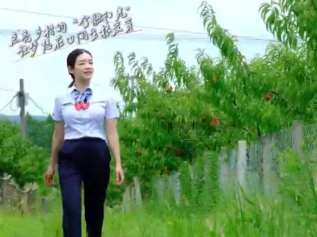 整村授信滋养乡村沃土
                                                        