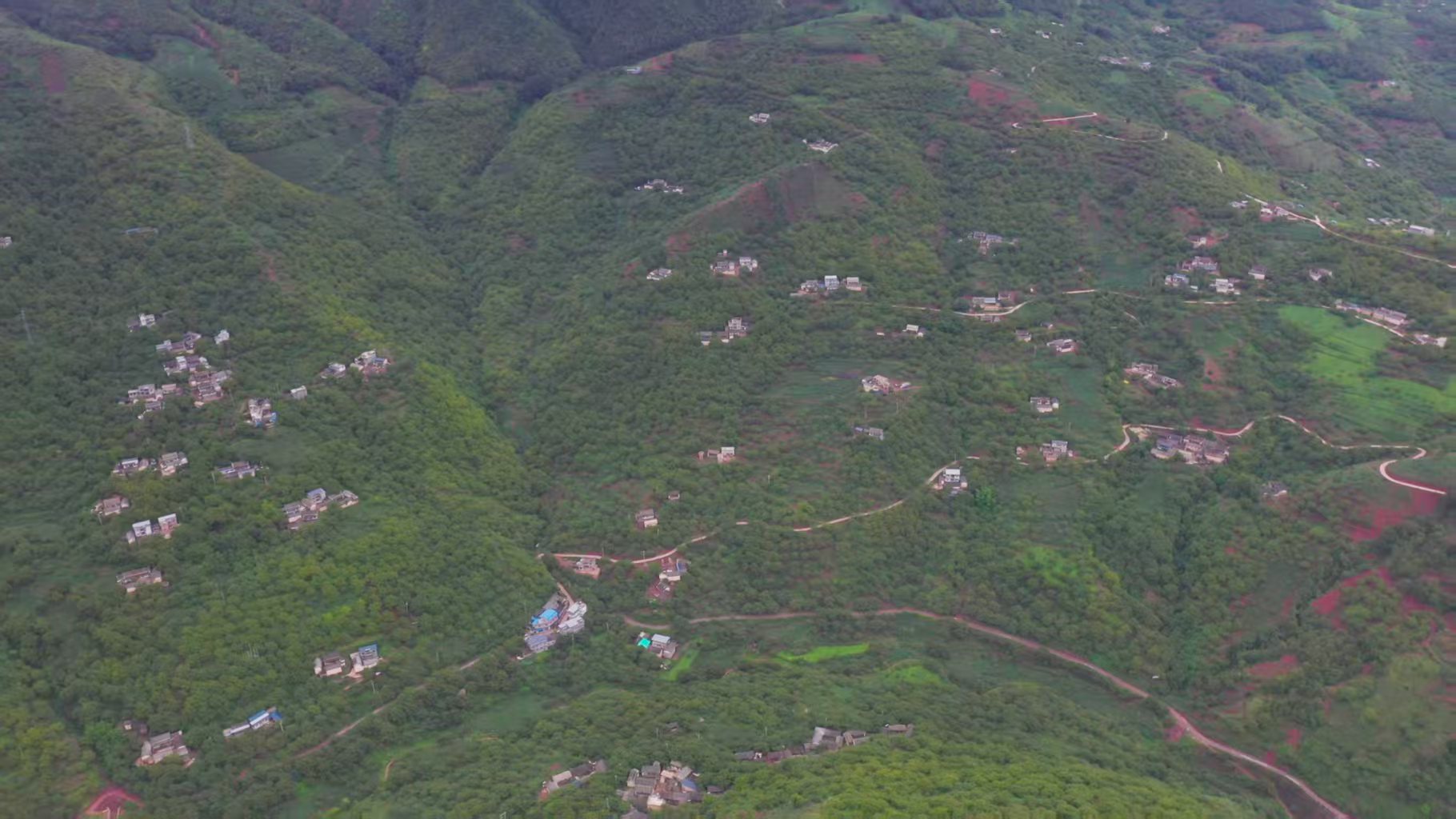 永平核桃产区(杨继红 摄)