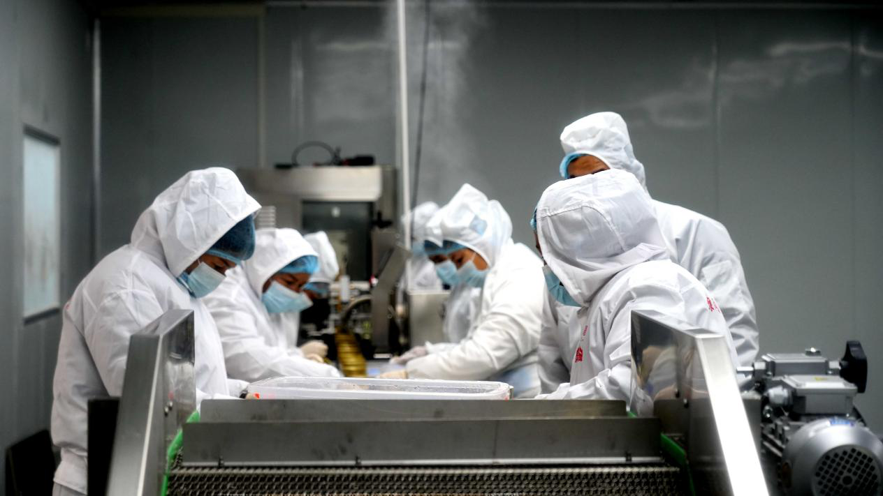 在阿克苏豫闰疆健康食品有限责任公司生产车间,员工分工有序,依次给雪水金盏燕窝炖苹果产品投放配料。(赵新昌 摄)