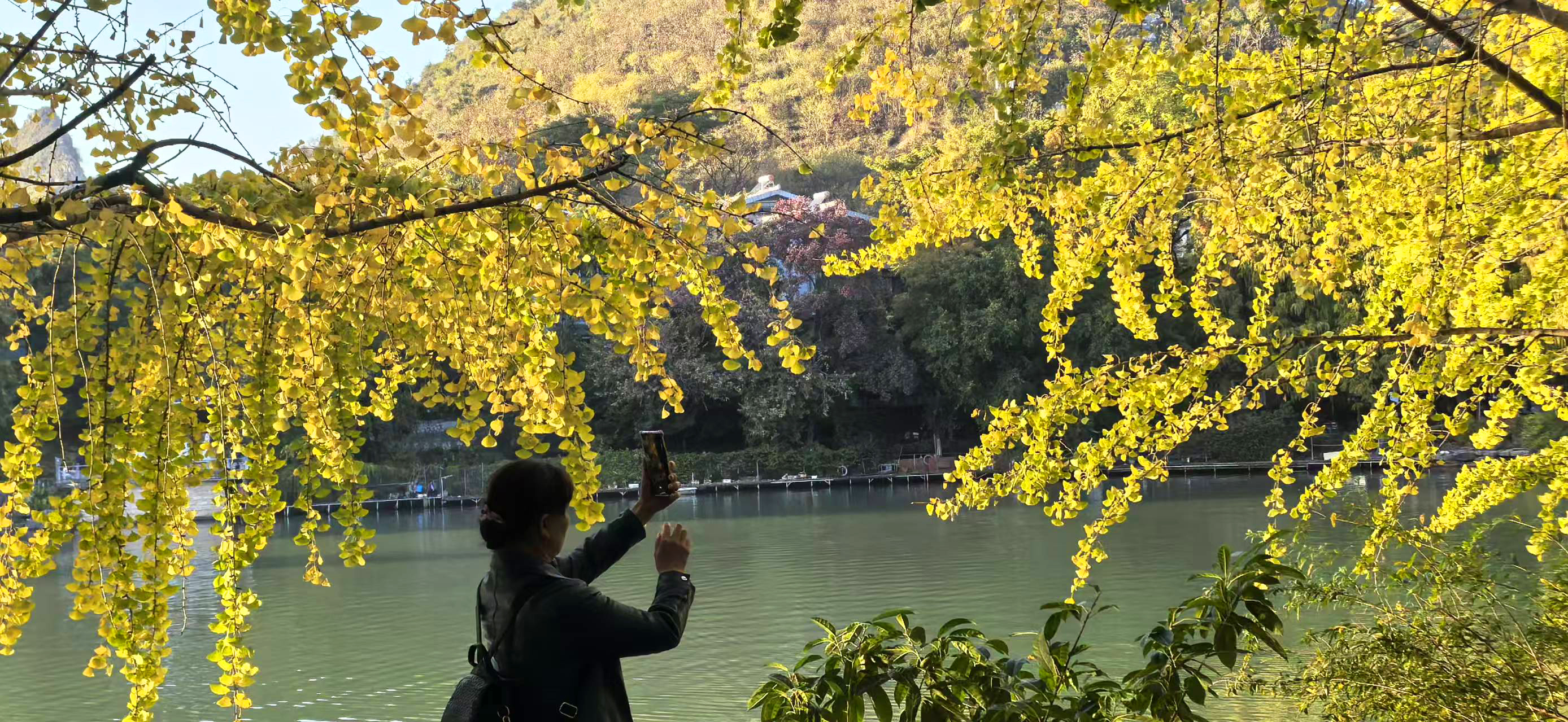 游客打卡桂林景区(伍文悄 摄)