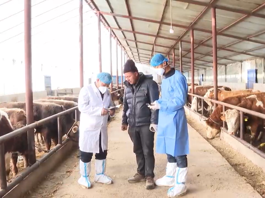 视频 | 抢抓防疫关键期 疫苗接种护民生
                                                        