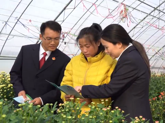 视频 | 检护芬芳 法助花农
                                                        