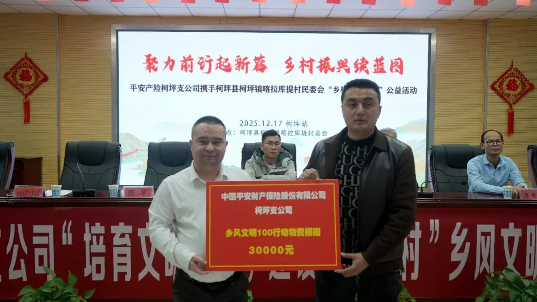 中国平安财产保险股份有限公司柯坪支公司向喀拉库提村捐赠3万元 (穆斯塔帕 摄)