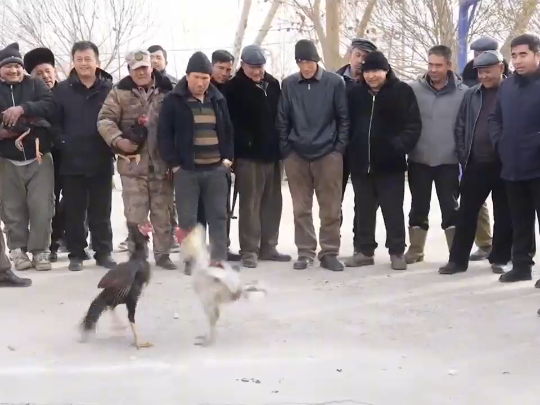 视频 | 村晚欢歌展风采 趣味运动促团结
                                                        