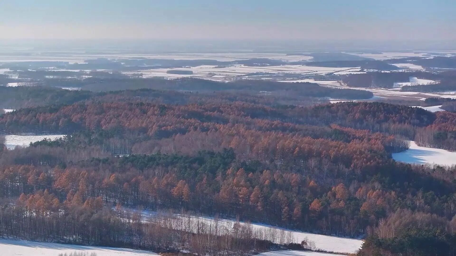 持续巩固森林资源(李墨晗 摄)