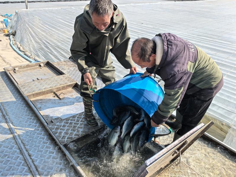 水产养殖基地 (陈雯 摄)