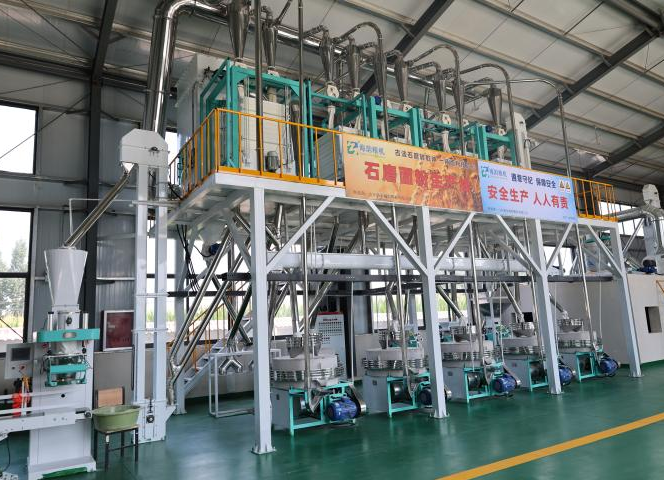 面粉生产车间(田浩 摄)