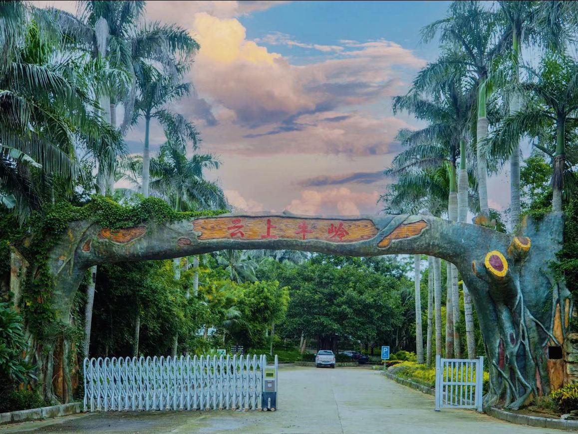 视频｜封关启新篇 咖啡闯新路
                                                        