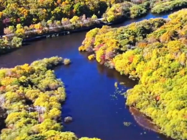 视频 | 黑龙江省讷谟尔河（五大连池市段）获“幸福河湖”称号
                                                        