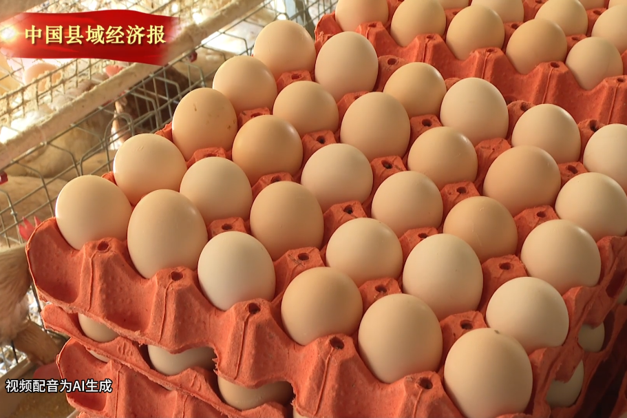 视频 | 海南保亭畜牧渔业交出2025年亮眼“成绩单” 生产指标超额完成 特色产业蓬勃发展
                                                        