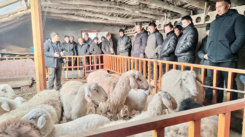 农技人员讲解庭院规划、种养知识。(木合塔巴·卡德尔 摄)