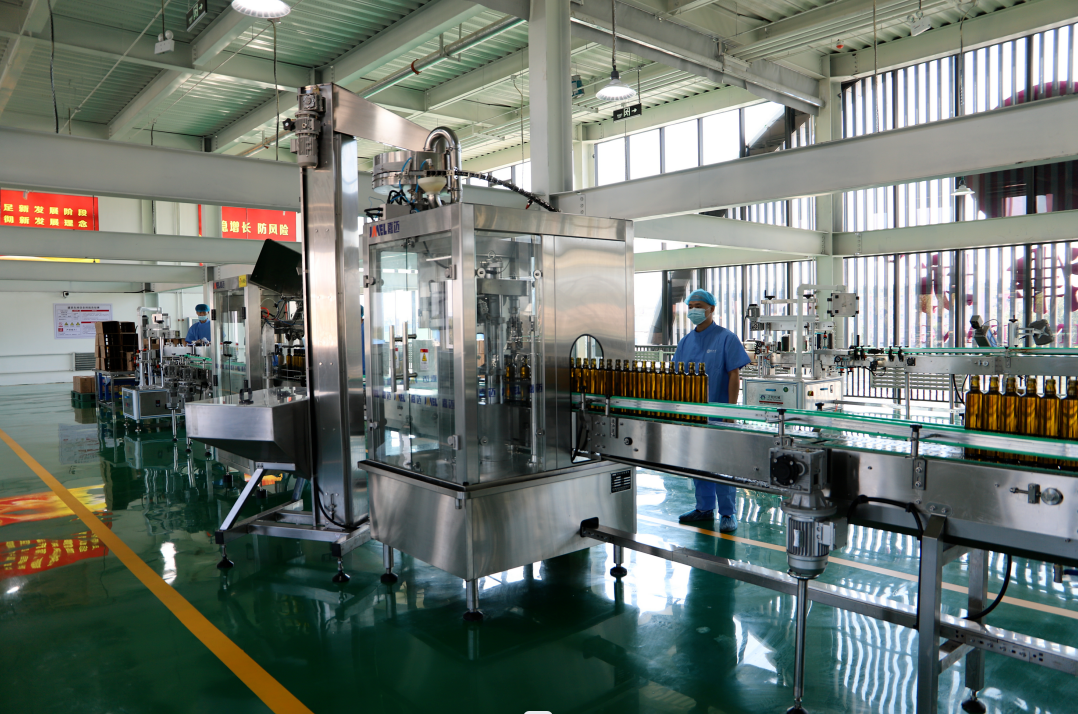 紫苏油现代化生产线运行(王硕 摄)