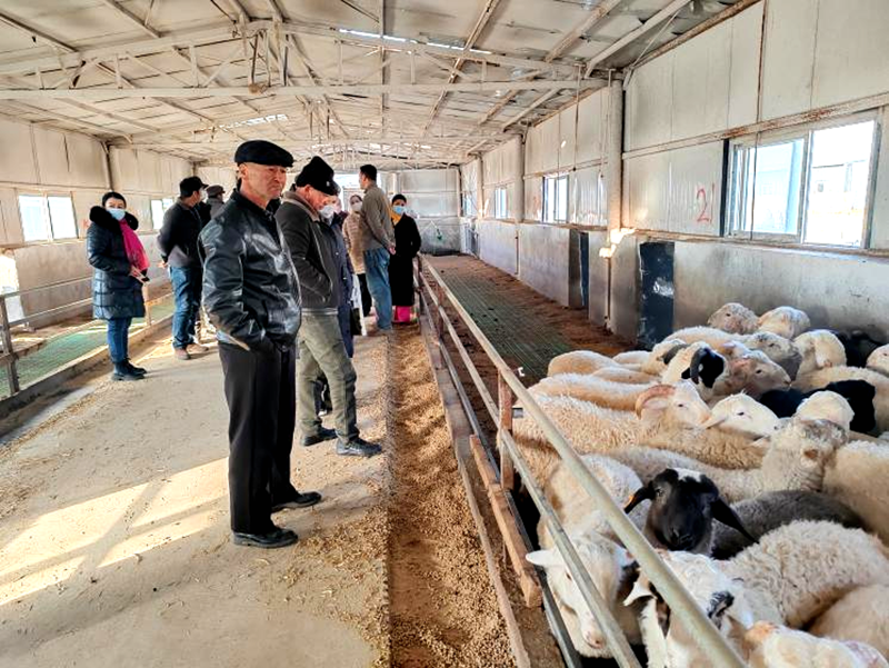 观摩养殖活动现场。(艾孜麦提·库尔邦 摄)