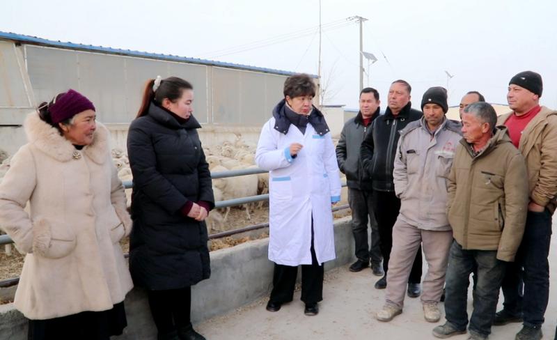 培训现场(麦麦提·阿里木 摄)