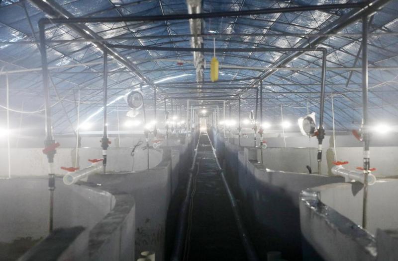 养殖车间一角(姚绍庄 摄)