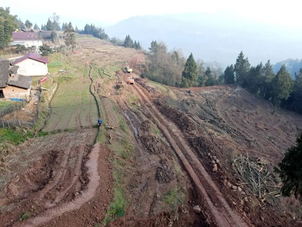 将碎片化土地进行整合(刘敏 摄)