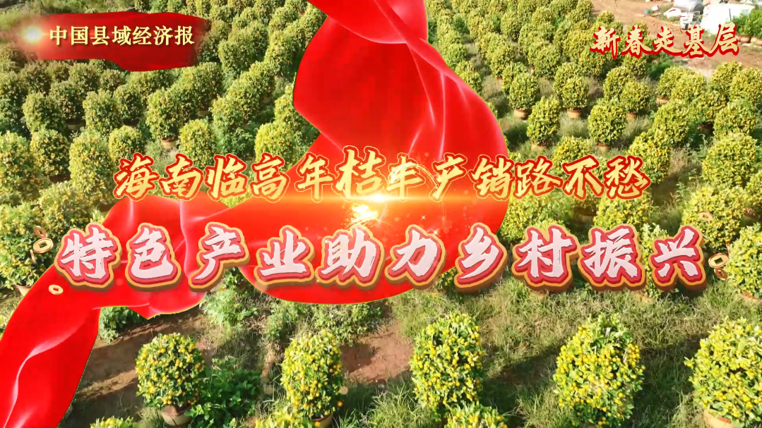 视频 | 年桔丰产销路不愁 特色产业助力乡村振兴
                                                        