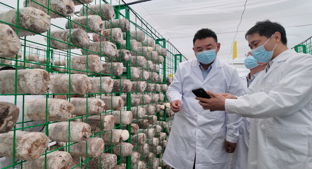 驻村工作队带领村干部在阿克苏市依干其镇巴格其村观摩学习(艾麦提·艾麦尔 摄)