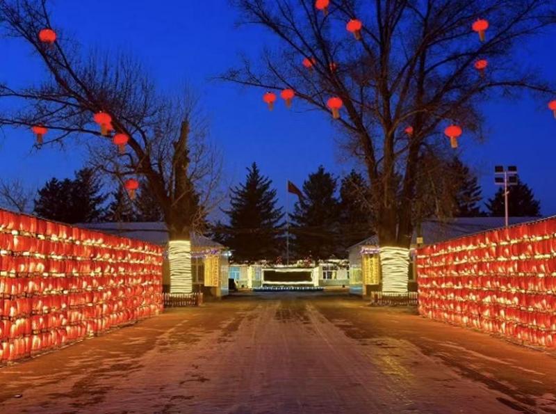 灯笼长廊(姚杨 摄)