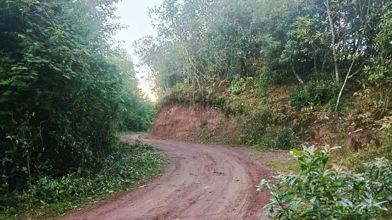 土洞片区生产路(方芳 摄)