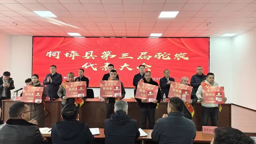 柯坪县第三届驼农代表大会上为驼农颁发荣誉证书(艾克拜尔·买买提 摄)