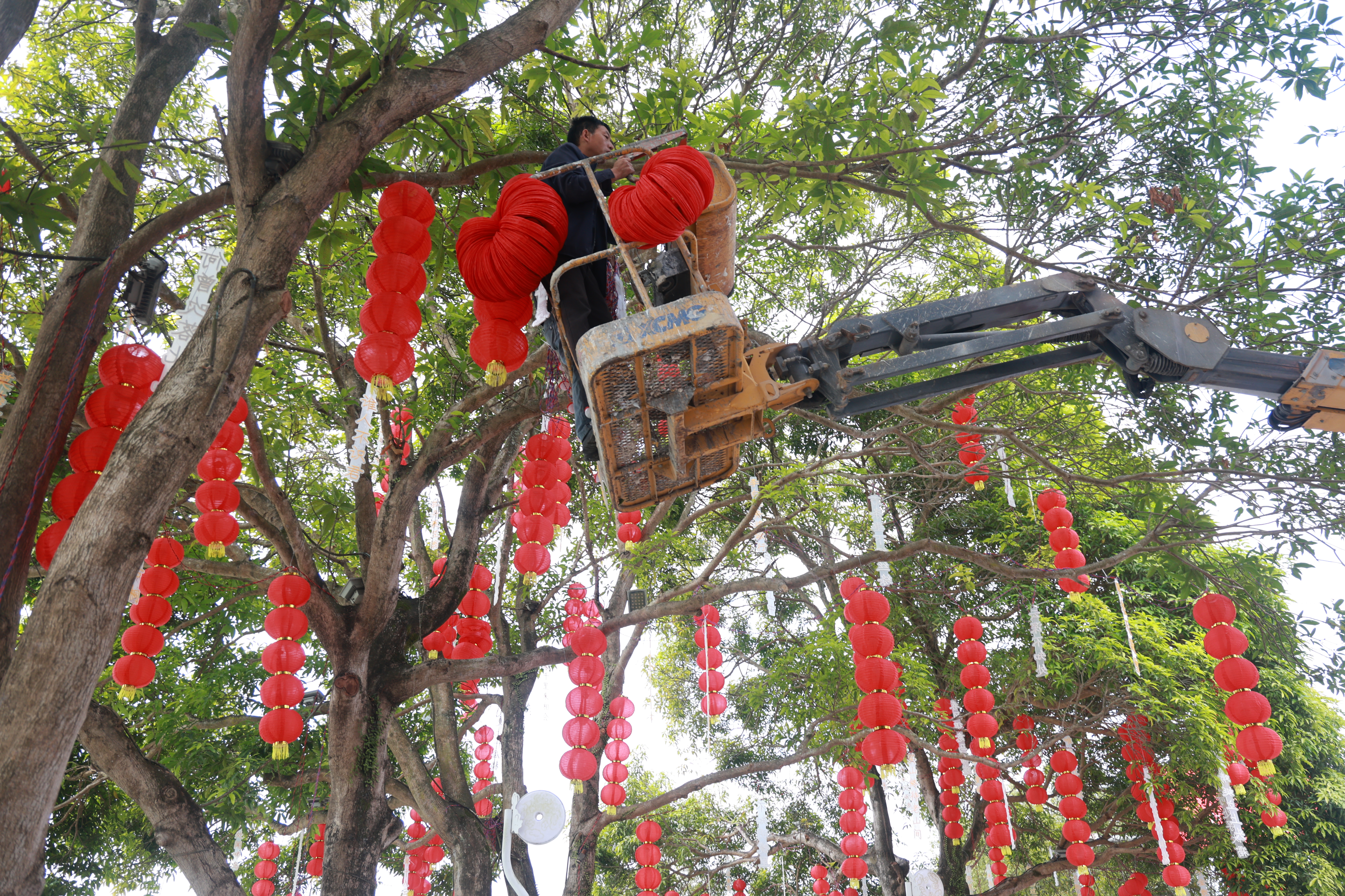 “年味速递员”正将一串串大红灯笼挂上 (陈秀妹 摄)
