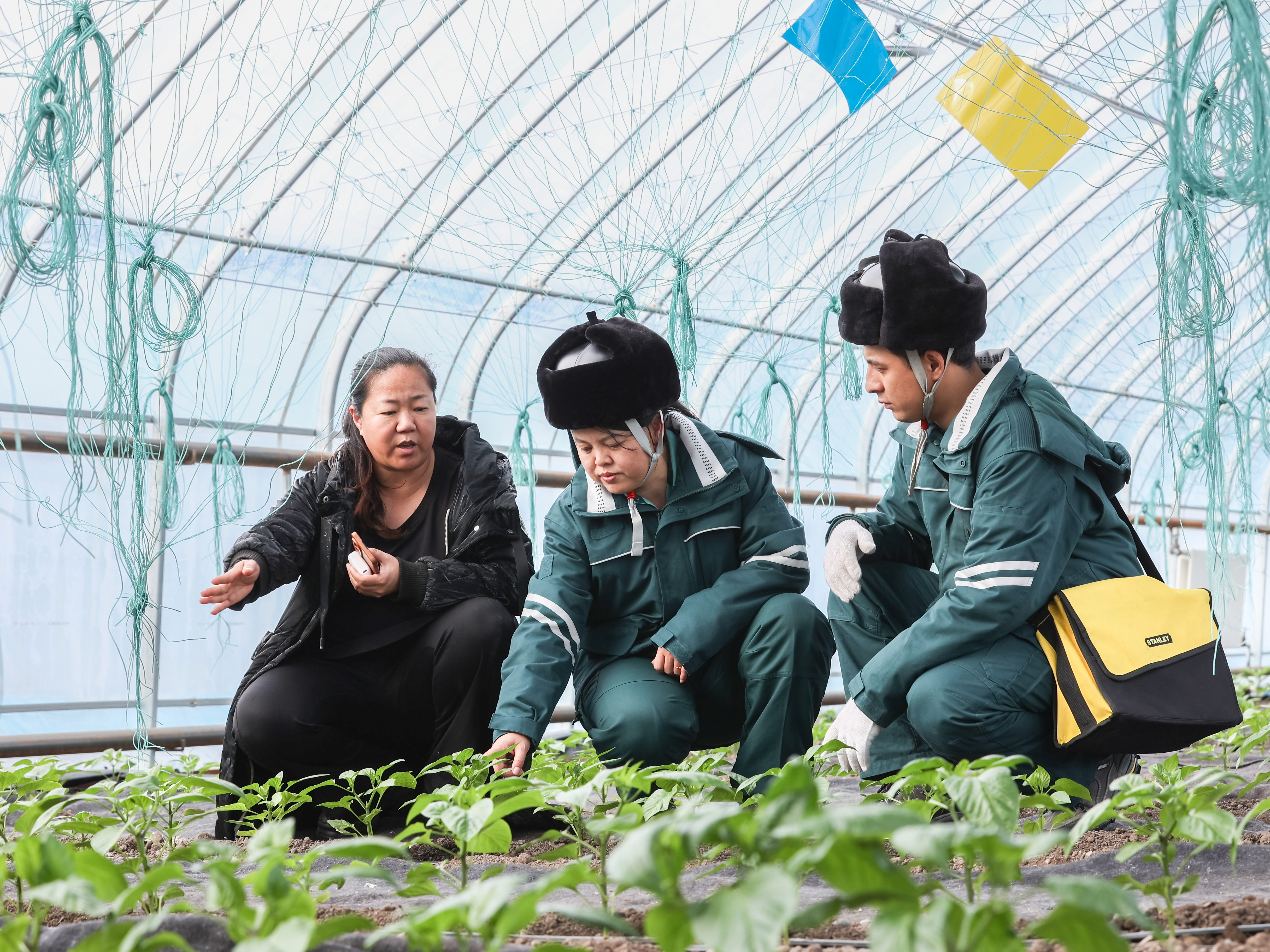 国网博尔塔拉供电公司员工节前走访化成箔余热供暖的智慧农业大棚,了解农业用电情况。(尹甜杰 摄)