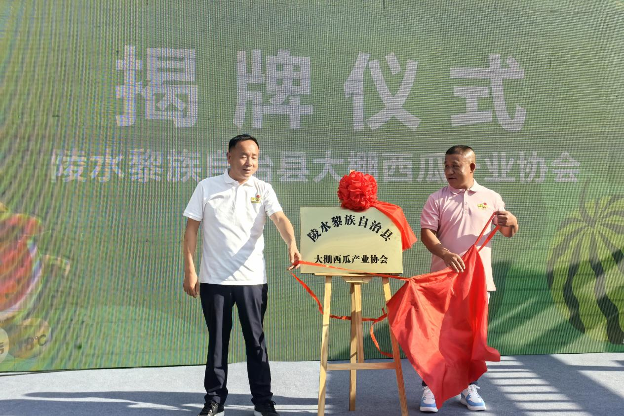 陵水大棚西瓜产业协会揭牌(骆金梅 摄)