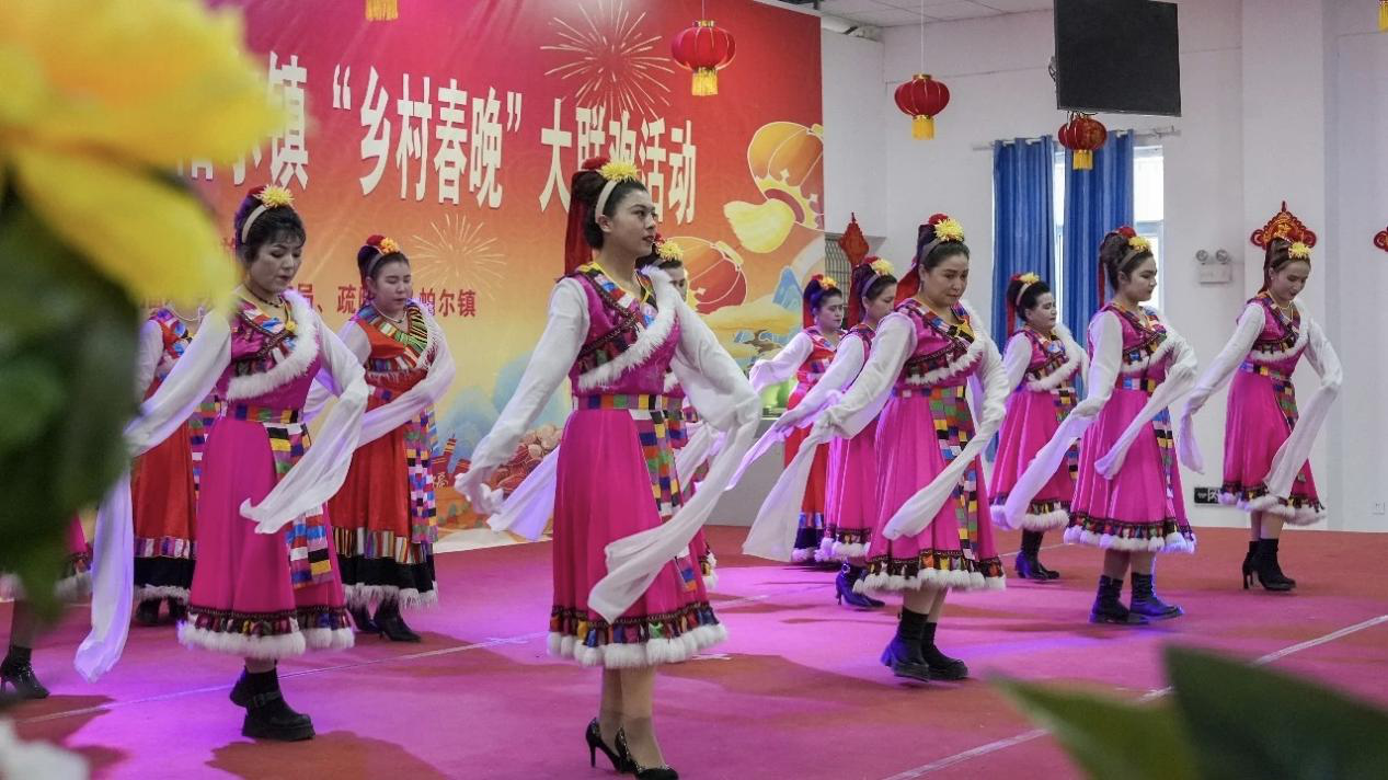 活动现场歌舞表演(阿瓦姑丽 摄)