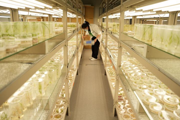 隆平生物实验室 (傅港 摄)