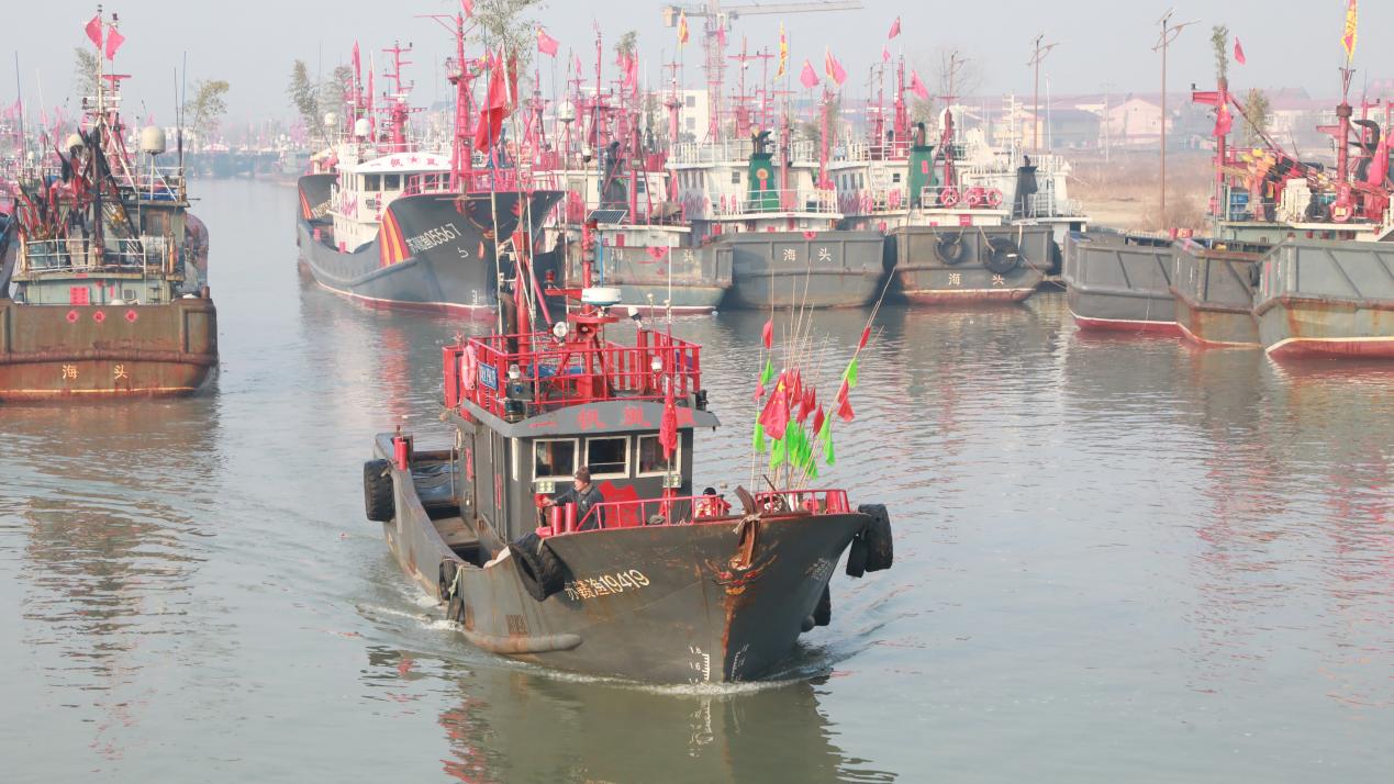 石桥镇韩口港渔船驶向闸口(藏震 摄)