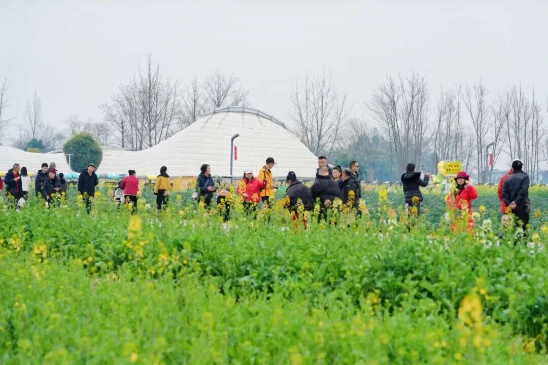 游客在天府农博园游玩(熊国豪 摄)