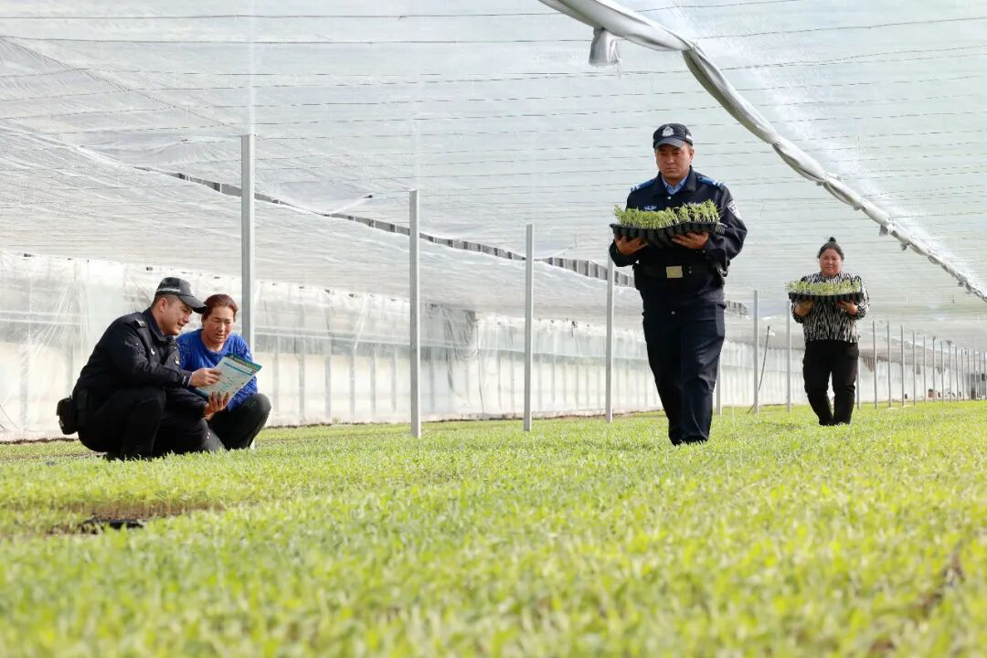 反诈宣传活动现场(胡国华 摄)