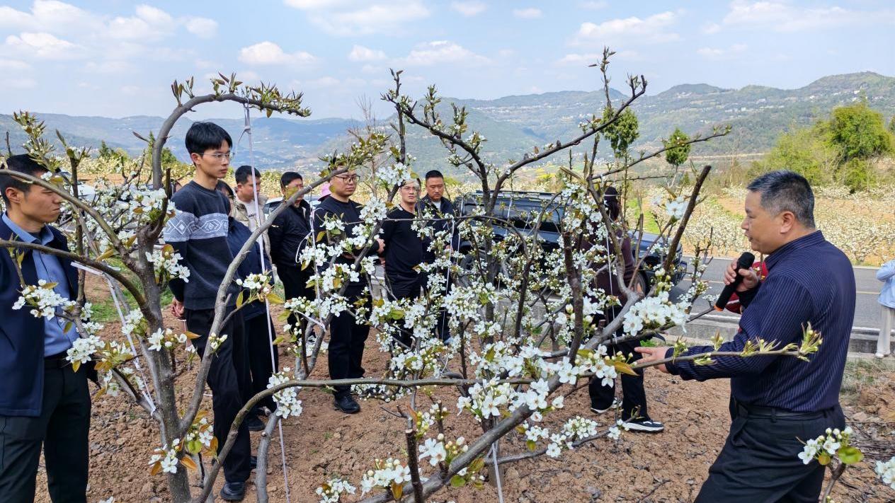 四川苍溪：全力打好2026年春耕生产“第一仗”