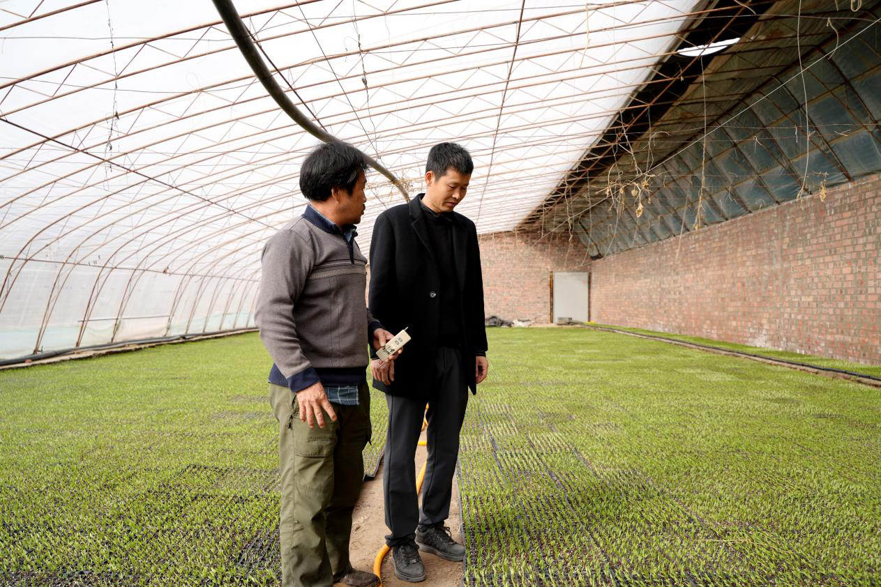 阿克苏亿泓农业开发有限公司育苗基地内,总经理肖体建(右)和技术人员冉金隆查看辣椒苗生长情况。(赵新昌 摄)