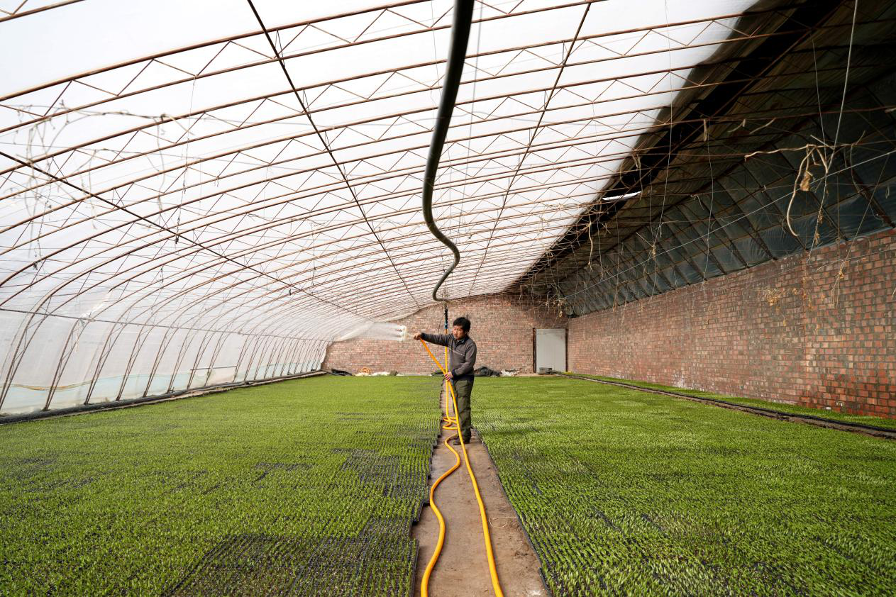 阿克苏亿泓农业开发有限公司育苗基地内,技术人员冉金隆给辣椒苗浇水。(赵新昌 摄)