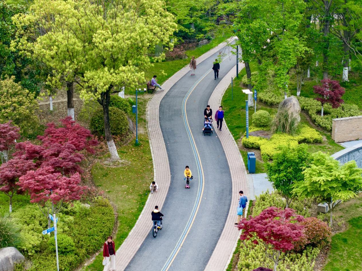 植树节，千灯再添新绿！