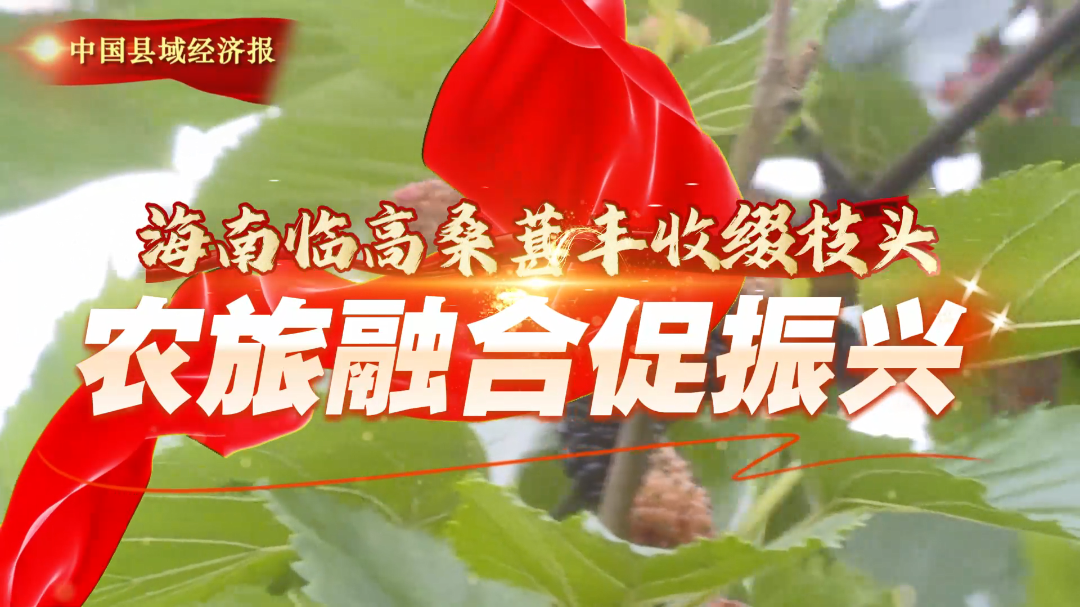 视频｜桑葚丰收缀枝头 农旅融合促振兴
                                                        