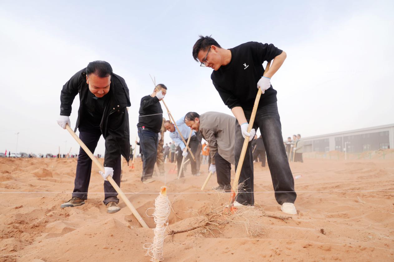 温宿县2026年春季植树造林全面启动,党员干部职工、志愿者踊跃参与义务植树。(赵新昌 摄)