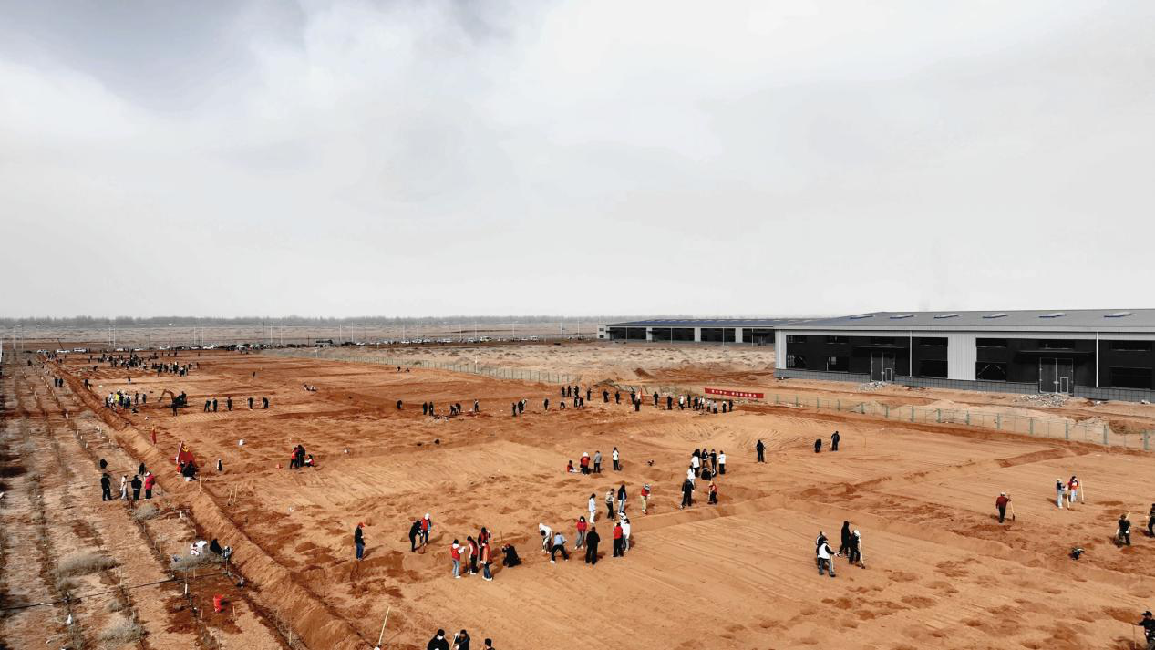 温宿县2026年春季植树造林全面启动,全县党员干部职工、志愿者踊跃参与义务植树。(李越进 摄)