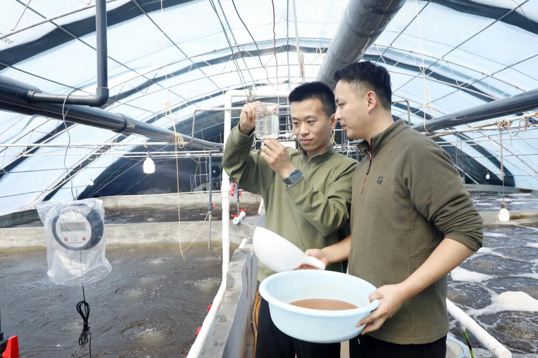 养殖技术人员查看蟹苗长势 (董自强 摄)