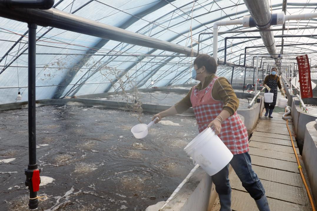 科学投放饵料(董自强 摄)