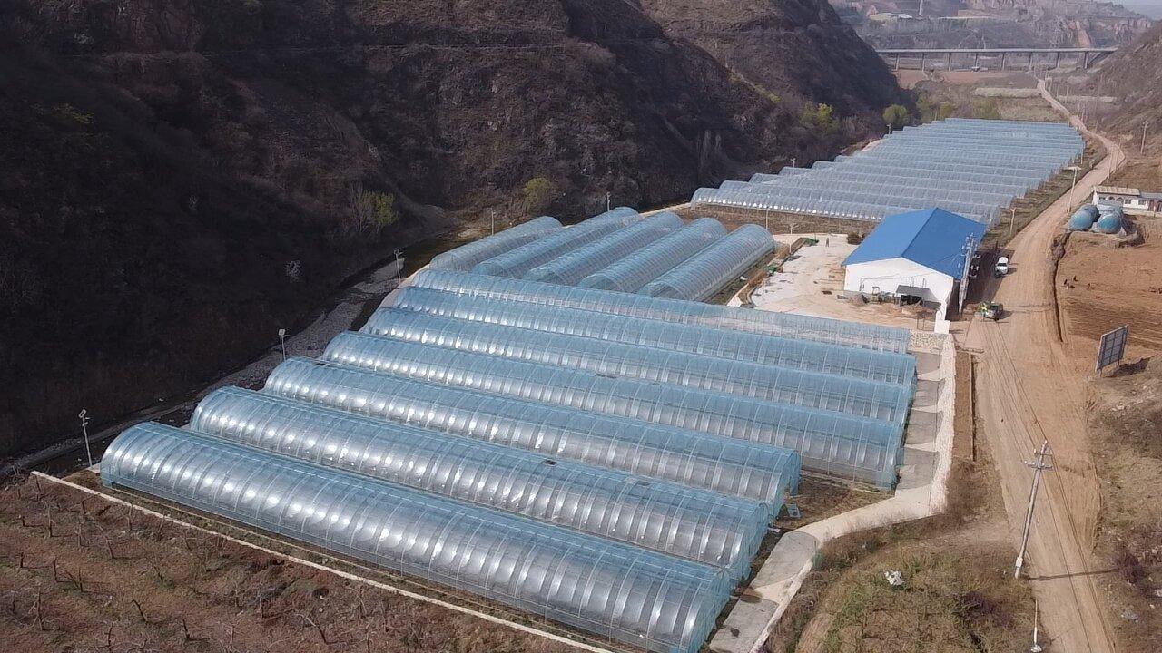 视频 | 李花漫野春潮涌 丰收盛景映山河
                                                        