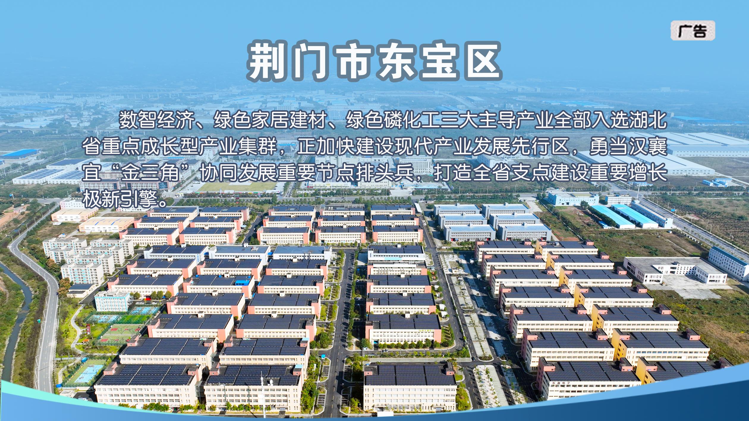 荆门东宝区广告