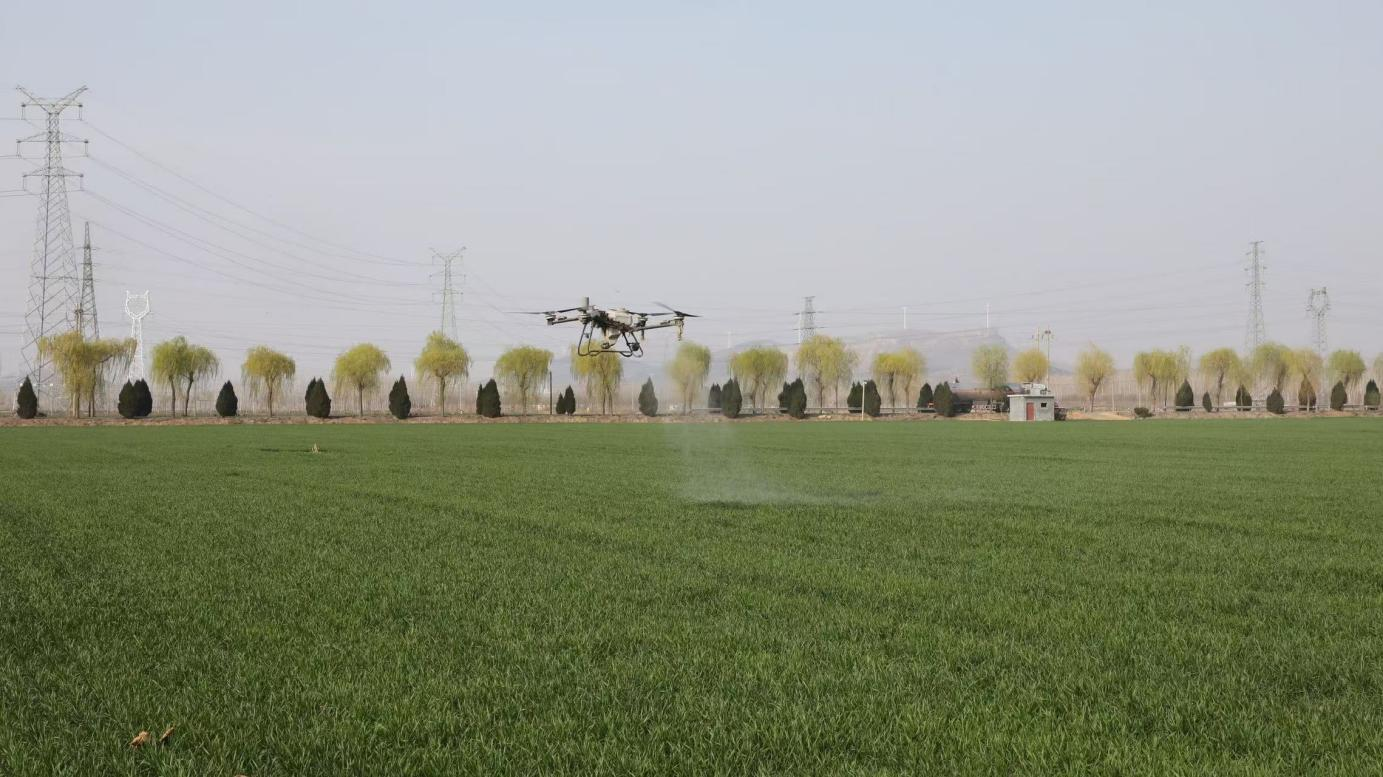 无人机飞防(刘影 摄)