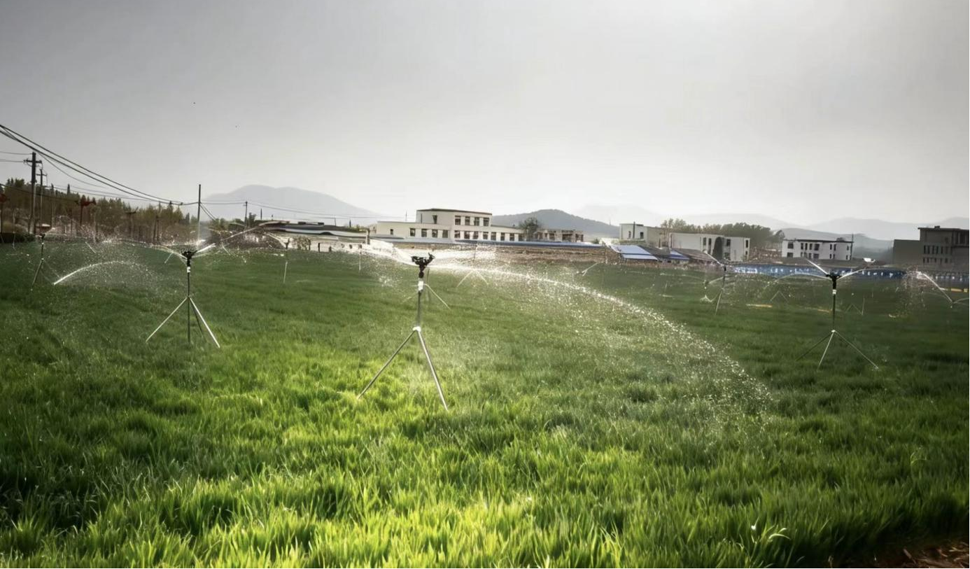 立杆式喷灌(安梅 摄)