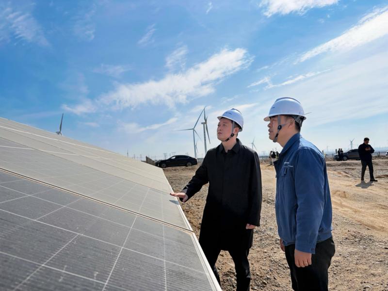 项目负责人介绍风光同场试验示范项目进展情况(苏珊 摄)