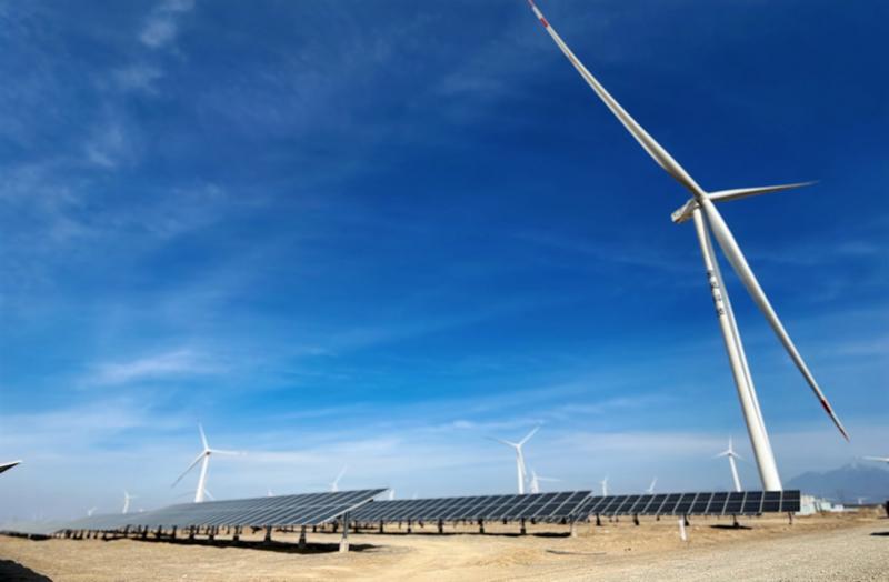 风光同场试验示范项目现场(苏珊 摄)