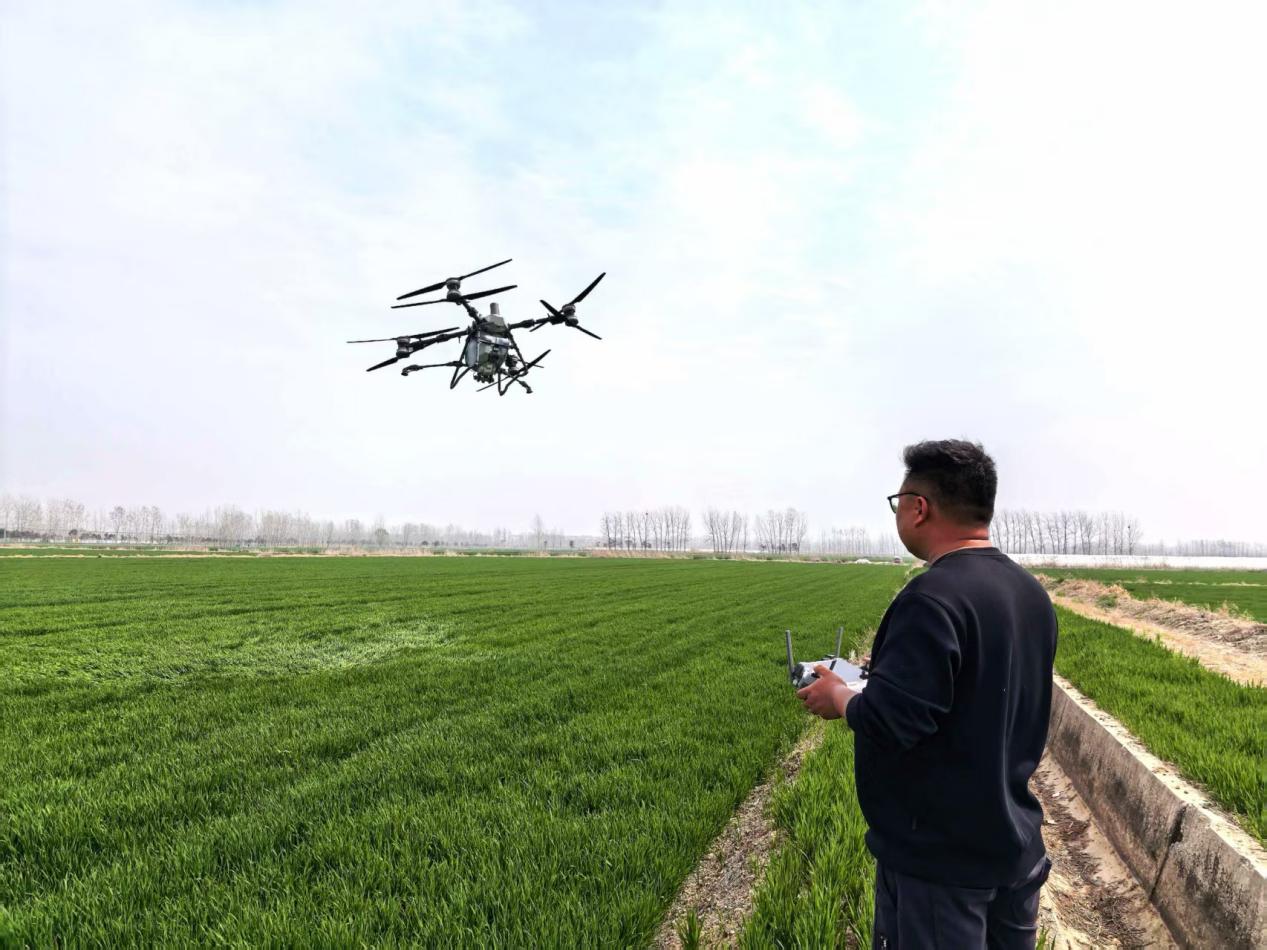 朱春操作无人机作业(顾士刚 摄)