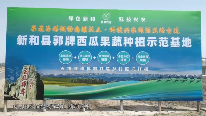 视频 | 设施农业硕果丰 乡村振兴动能足
                                                        